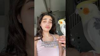 MY BIRD FINALLY REMEMBERS ME🥹 #cried