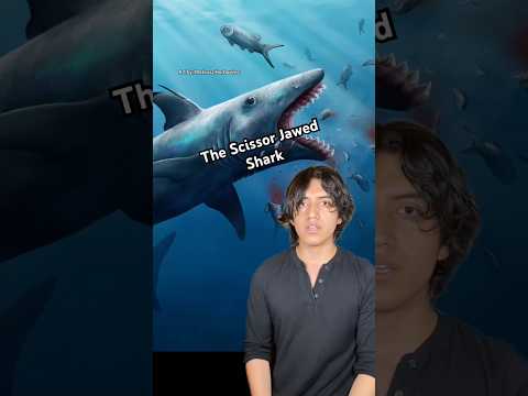 #prehistoric #animal #nature #evolution #shark