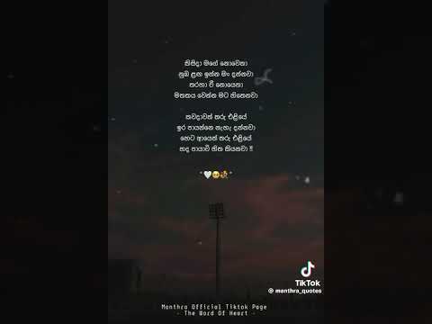 #tiktokvideo #tiktok #whatsapp_status #sindu #wadan #sinhalawadan #love #lovestatus #lovesong
