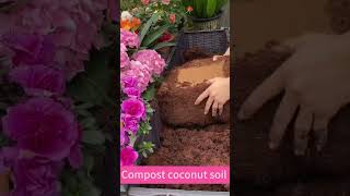 beautiful compost using coconut soil 🙈😍 for your garden #Shorts #NatureAthome
