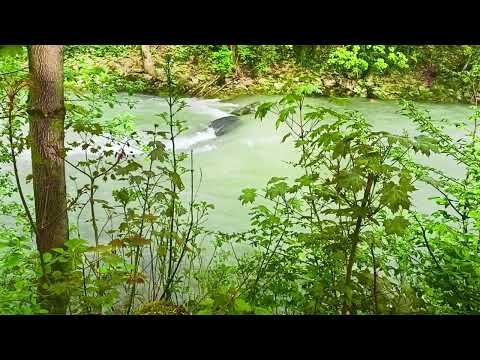 meditate and relax with pleasant music during the working day and before going to bed