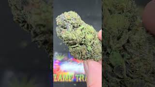 Exotic small batch Gelato Cake closeups #foryou #cbdforthepeople #trending #420time #comeatmebro