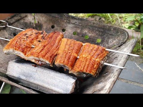 焚き火台で焼いた鰻でうな重【庭キャンプ】