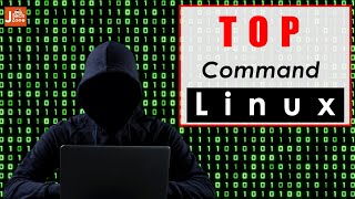 Master the top Command in Linux: A Beginner's Guide to System Monitoring