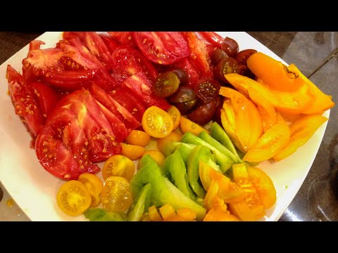 Starting a vegetable garden from scratch. How we did it without knowing anything.