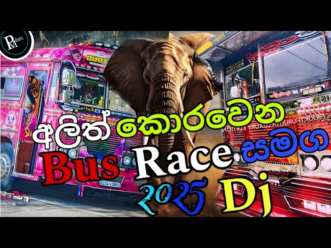 2025 New Dj Nonstop Sinhala | Bus Dj Nonstop | Trending sinhala songs @cm_beats.
