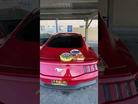 Diwali special sweets| Mustang pooja | #mustang#ford#viralvideo#youtubeshorts