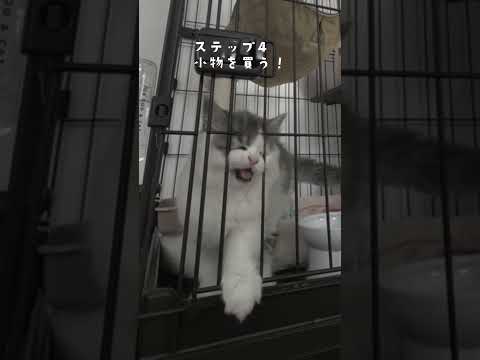 地雷系・量産型になる方法！　#地雷系 #量産型