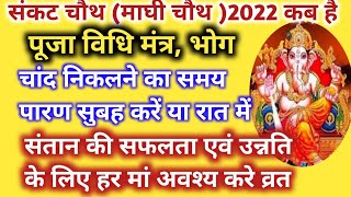 Maghi chauth2022,til chauth 2022 sakat chauth sakat chauth संतान की सफलता के लिए हर मां करें