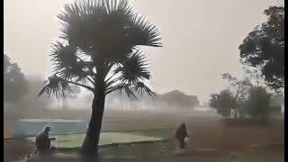 ভোটারদের বদলে বানর নিয়ে খেলা করছেন পুলিশ অফিসারেরা#bnpnews24#bangla_news