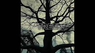 The Hanging Tree | Hunger Games #thehangingtree #hungergames #hungergamesedit #edit #mockingjay