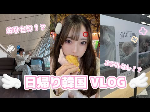 ｜VLOG｜ハプニング！？おひとり24時間韓国チャレンジ🇰🇷🪽購入品紹介 🛍 txtのpopup🦊新しいチムチルバン🆕✨️