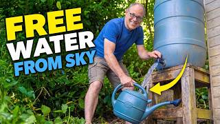 Want to Cut Your Water Bills? Here's How Smart Gardeners Harvest Rain