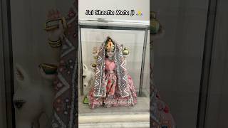 Jai Sheetla Mata ji | #sheetla_mata_katha #sheetla_mata #sheetla_mata_aarti #sheetla_mata_amritwani
