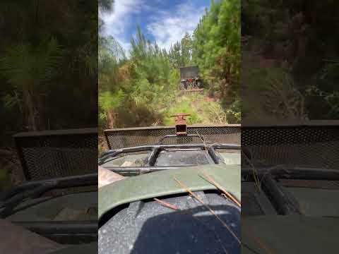 Preparing for hunting season 2025 #whitetail #deerhunting