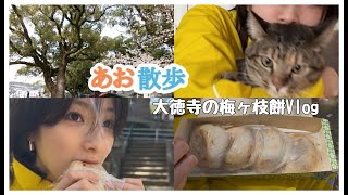 【散歩 vlog】あお散歩　第23弾　～大徳寺の梅ヶ枝餅〜