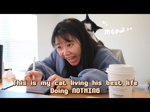 VLOG #64 | 美國大學實驗室開箱🧫、米其林甜點🍰、貓貓日常🐱 | 美國紐約日常