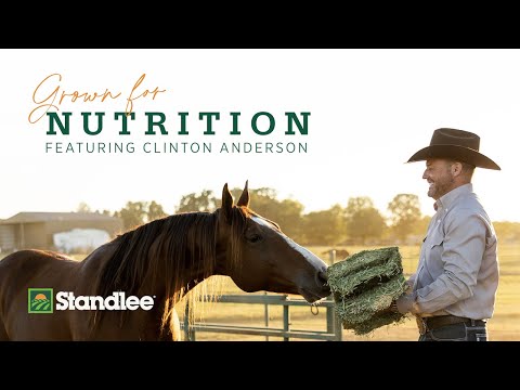 Fueling Performance with Clinton Anderson