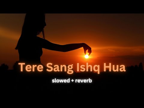 Tere Sang Ishq Hua (Slowed + Reverb) | Arijit Singh, Neeti Mohan | Yodha | RelaX-LofI