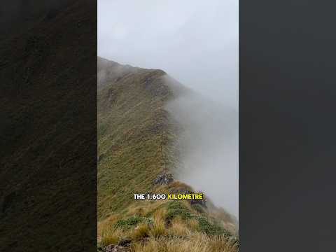 Wet, wild and windy for day 45 hiking New Zealand ⚡️