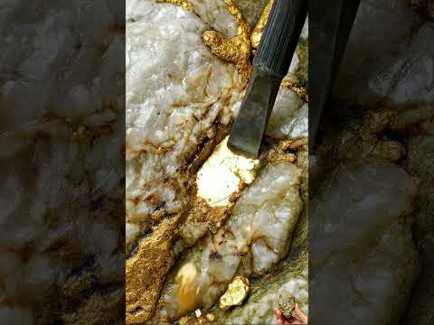 Do you love Gold? Wait End🪙😮  #golddiscovery #goldhunting #gold #goldrush #goldnugget #goldmining