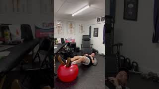 Swiss Ball Reverse Plank with Hamstring Curl Variation