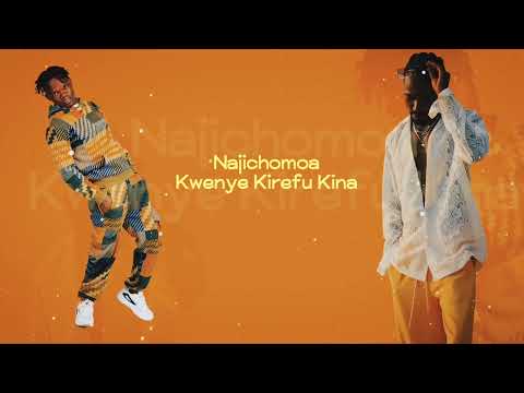 Echo 254 - Naogopa Ft Iddi Singer (Official Lyrics Video)