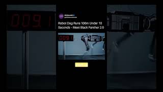 Robot Dog Runs 100m Under 10 Seconds - Meet Black Panther 2.0