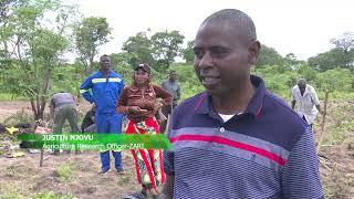 Zambia Ecosystem based Adaptation Project Climate Resilient Agriculture Practices- Muchinga Province
