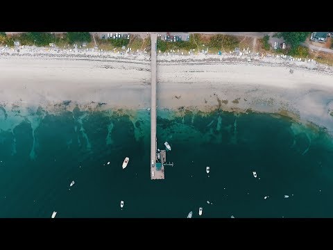 Savary Summer 2017