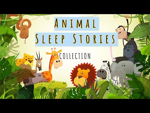 Children's Sleep Meditation ANIMAL SLEEP STORIES COLLECTION Kids Guided Meditation