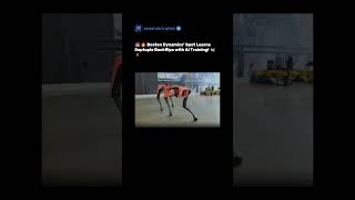 🤖🔥 Boston Dynamics’ Spot Learns Septuple Backflips with AI Training! 🐕⚡