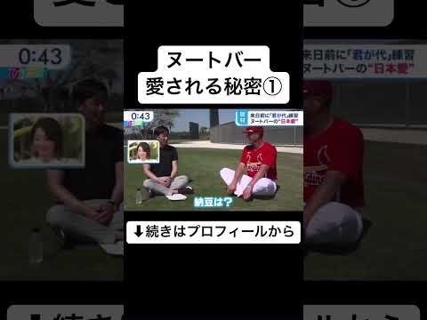 ぬーとばーが日本人に愛される秘密①