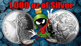 Stacking 1,000 oz of Silver: Reckless or Reality? #silver