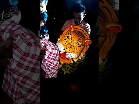 jawhar bohada Wagh 🐯 || जव्हार bohada में शेर निकला 🐯 ||  mans festival #short