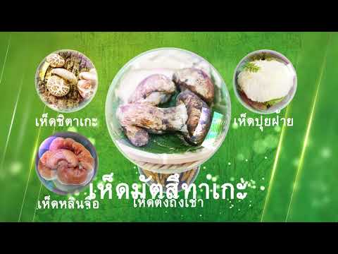 เทียนโก น้ำเห็ดผสมสมุนไพร