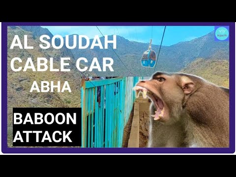 AL SOUDAH CABLE CAR | TRIP TO ABHA DAY 1 PART 2 | TRAVEL VLOG | N GIRLS TV