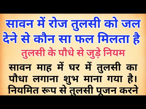 सावन माह में रोज तुलसी को जल देने से कौन सा फल मिलता है | तुलसी के पौधे से जुड़े नियम | #tulsi