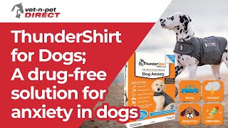 ThunderShirt For Dogs; A drug-free solution for anxiety in dogs