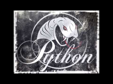 Python - Ohne dich