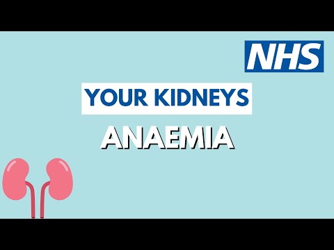 Anaemia and the kidneys | UHL NHS Trust