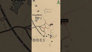 Unlock the Fence Instantly in Chapter 2! #rdr2 #gaming #shorts #gamingguide #rdr2guide #rdr2secrets
