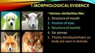 1  Heredity and Evolution