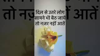 Anmol suvichar ।।  सुंदर लाइंस सत्य वचन।।#krishna #motivation 🌹🥀💯🌿
