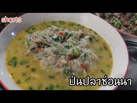 คลิปสั้น ep.3 อาหารเย็นแคลต่ำ ป่นปลาช่อนนา |อาหารอีสานบ้านเฮา