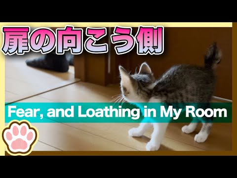 扉の向こう側  Fear, and Loathing in My Room / The other side of the door