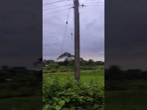 Evening views #hindisong #viralshort #assam #village #youtuber #viralshort #viral