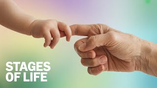 Developmental Psychology: Physical, Cognitive and Social Changes