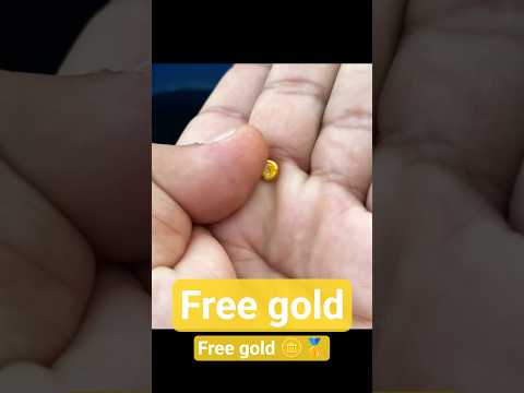 free gold recovered from e waste #goldextraction #goldrecovery #goldmining