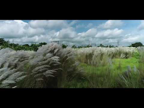 Aalor Benu ।। Jayati Chakraborty ।। Mahisasurmardini ।। Teaser